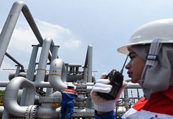 Pertamina Seleksi Mitra Pembangunan Kilang Bontang April Nanti